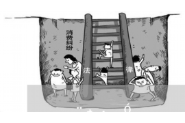 维扬维扬的要账公司在催收过程中的策略和技巧有哪些？